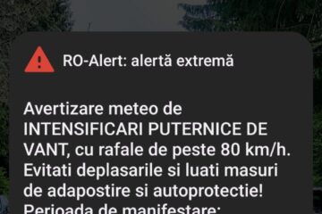 Mesaj ro alert