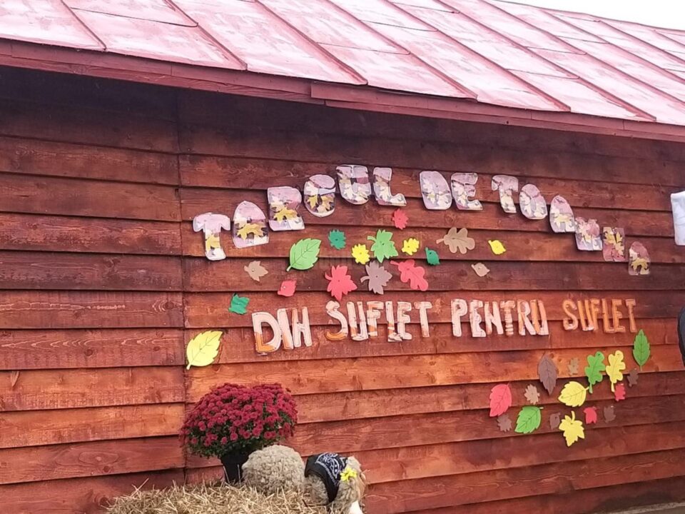 Târgul de toamnă, de la Școala Ciomârtan