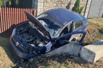A încercat să evite un câine și a intrat cu mașina într-un cap de pod, iar apoi s-a oprit în șanț
