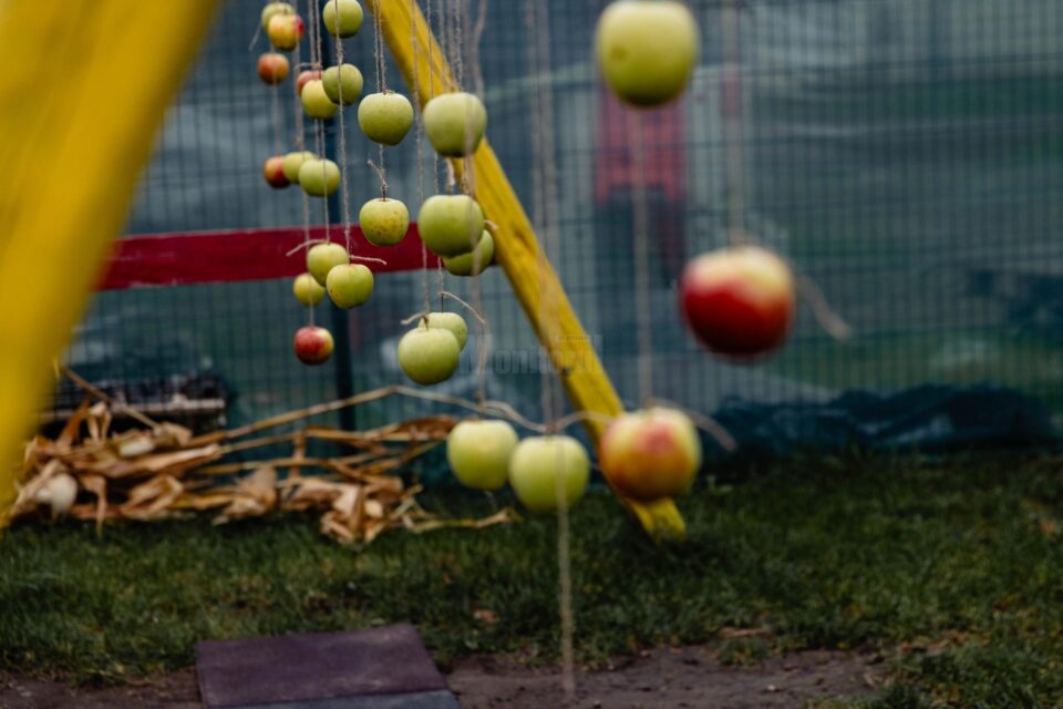 Grădinița „La Piticul Vesel” a organizat Festivalul Caritabil de Toamnă