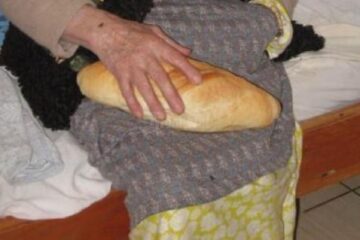 „Pâinea cea de toate zilele”, campanie umanitară