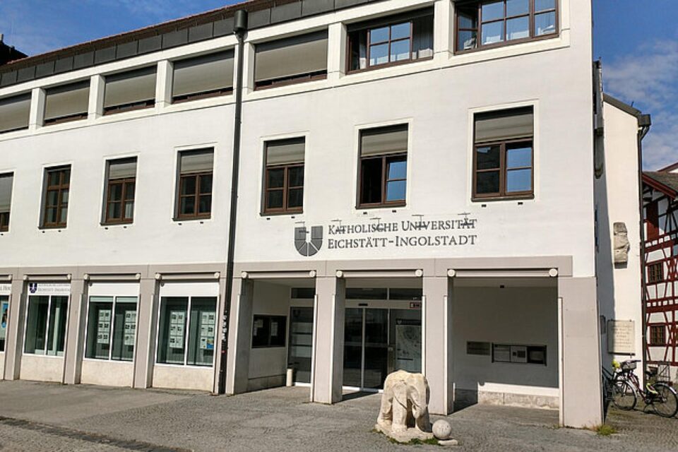 Bursă postdoctorală în Germania pentru conf. univ. dr. Ionuț Vlădescu