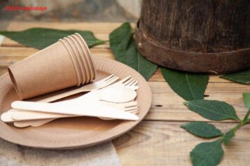 Farfurii de carton pentru catering și street food, disponibile la Snick Ambalaje