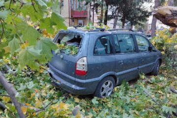 Autoturisme avariate de un copac căzut