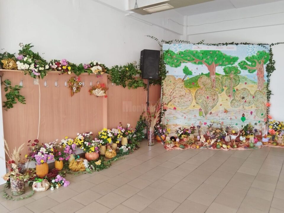 „Toamna se numără bobocii”, la Centrul Școlar „Sf. Andrei” Gura Humorului