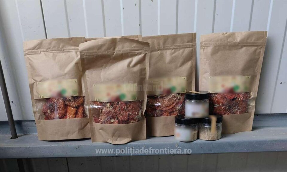 Ciuperci halucinogene, confiscate de la un ucrainean ajuns în PTF Vicovu de Sus