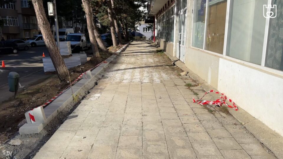 Lucrările de reabilitare a treptelor și a aleilor pietonale din cartierul Burdujeni, pe Str. Bujorilor la bl. 101 și pe Str. Eroilor, bl. 123, verificate de Lucian Harșovschi