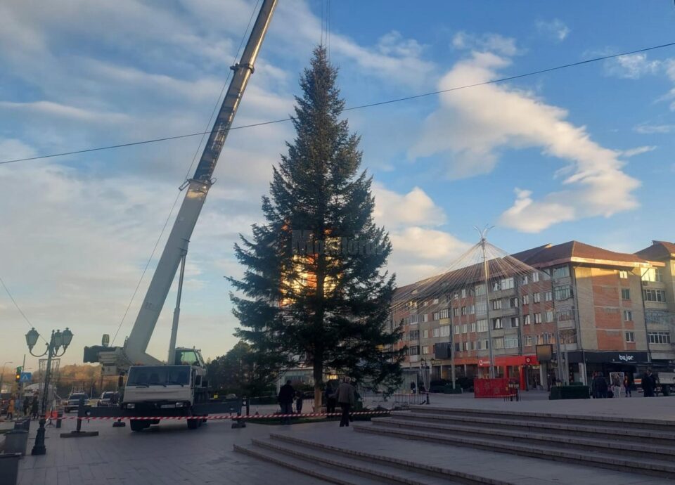 Bradul de sarbatori a fost montat marti in centrul Sucevei
