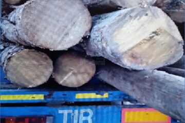 Transport fictiv de material lemnos identificat de Garda Forestieră Suceava în programul SUMAL