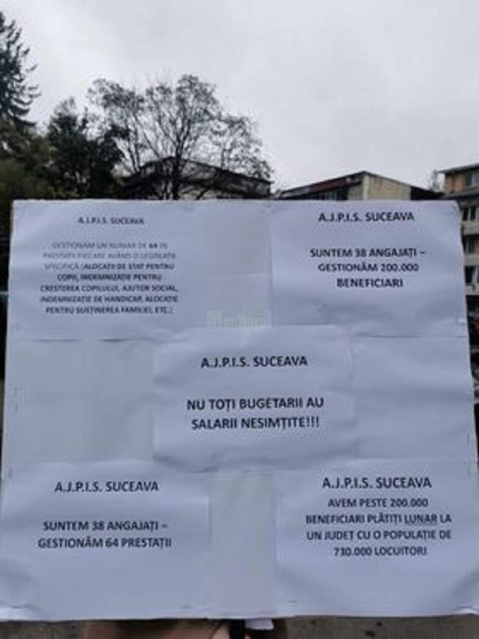 Angajații Agenției pentru Plăți și Inspecție Socială, în grevă de avertisment
