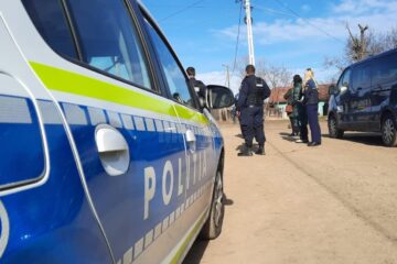Razie a polițiștilor la Gura Humorului, cu confiscări de lemn și haine Zara și D&G contrafăcute