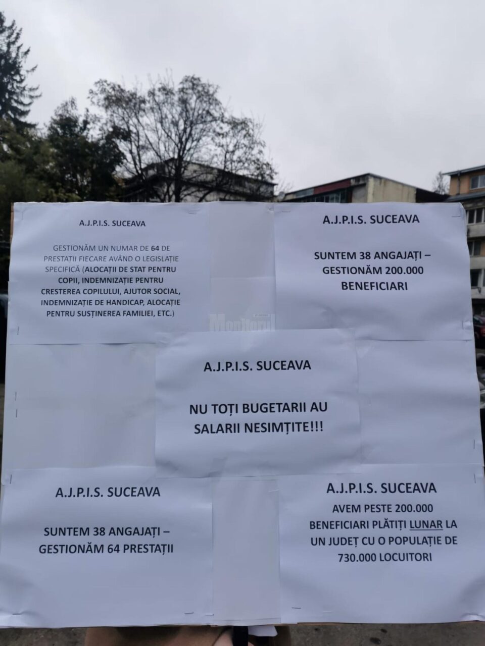 Angajații Agenției pentru Plăți și Inspecție Socială, în grevă de avertisment, pentru salarii mai mari și condiții mai bune
