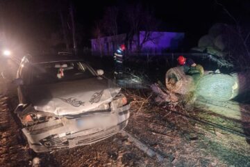 Șofer rămas încarcerat în mașină după ce s-a izbit într-un copac căzut pe carosabil