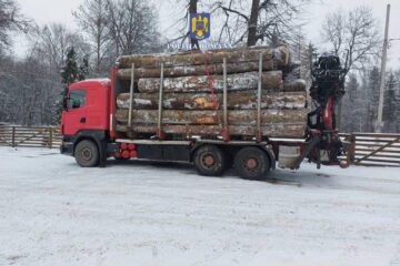 Tir confiscat de polițiști pentru transport ilegal de material lemnos
