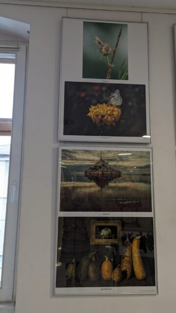 Expoziția Salonului Internațional de Artă Fotografică „Bucovina Mileniul III”, ediția a XIX-a