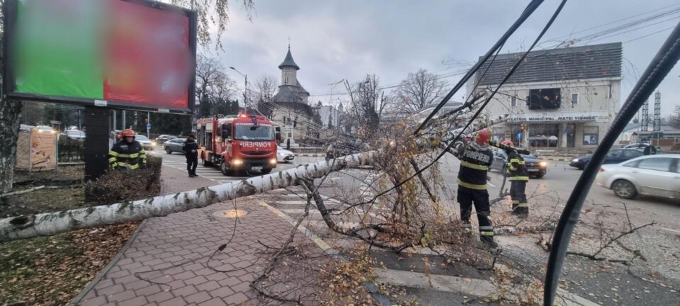 Copac căzut pe carosabil, în fața Teatrului Municipal „Matei Vișniec” din Suceava