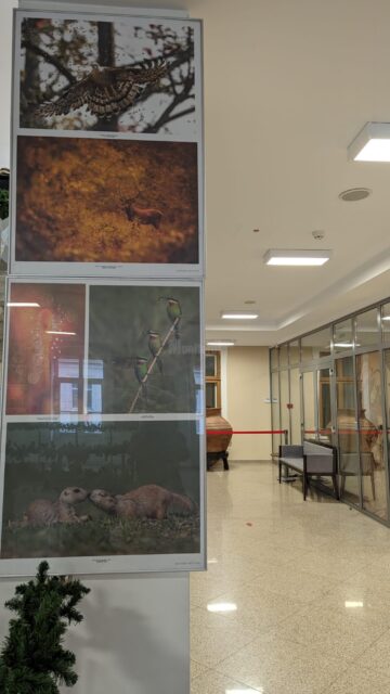 Expoziția Salonului Internațional de Artă Fotografică „Bucovina Mileniul III”, ediția a XIX-a