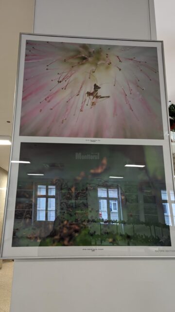 Expoziția Salonului Internațional de Artă Fotografică „Bucovina Mileniul III”, ediția a XIX-a