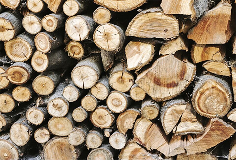 Aproape 8500 mc de lemn de foc disponibil la două ocoale ale Direcției Silvice Suceava