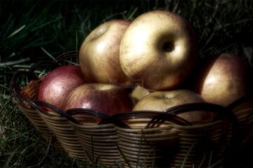 „Fructele”