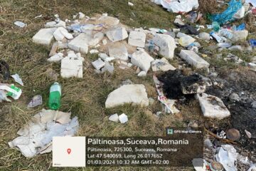 Imagini cu gunoaie aruncate pe un câmp din comună
