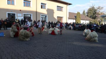 Urșii din Rotunda