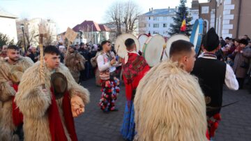 Urșii din Bahna Arini