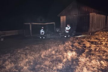 Container distrus în totalitate, după un incendiu provocat intenționat