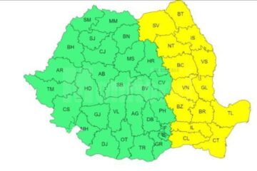 Cod galben de vânt, ninsori, viscol și polei