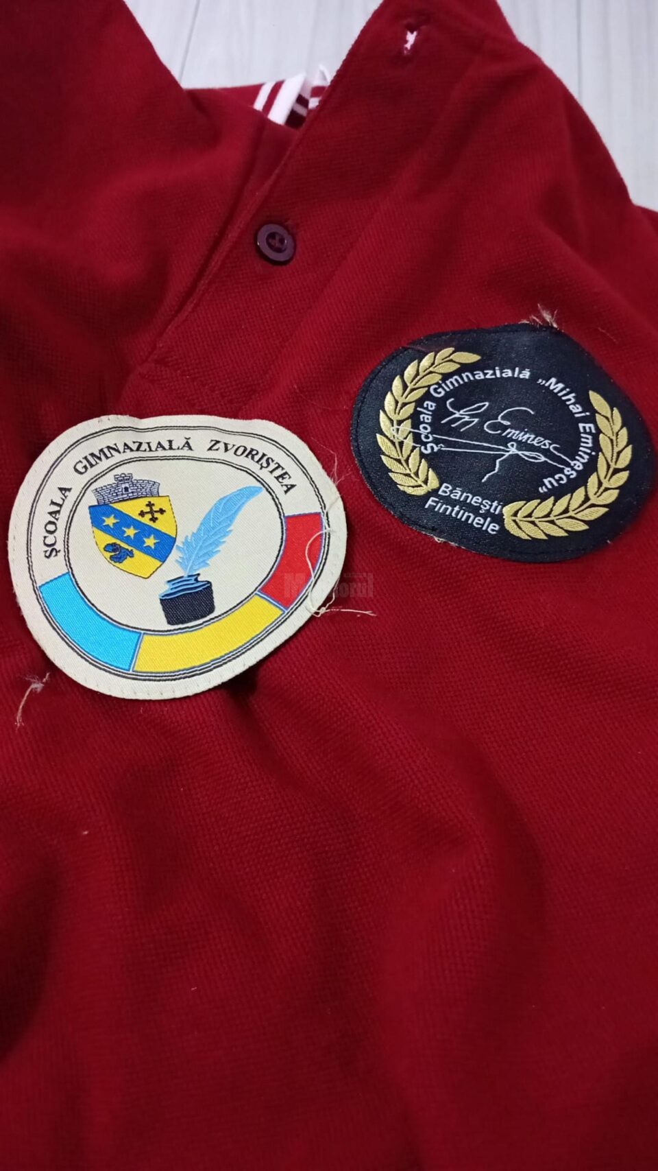 Sub eticheta scolii lor, elevii au găsit emblemele altor școli