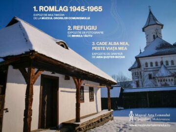 Unde fugim de-acasă... Perioada 11 – 17 ianuarie 2024