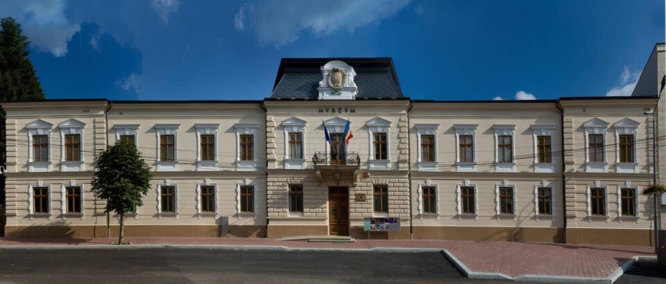 O piesă unicat, Drapelul de la Palatul Cuza de la Ruginoasa, expus la Muzeul Național al Bucovinei O piesă unicat, Drapelul de la Palatul Cuza de la Ruginoasa, expus la Muzeul Național al Bucovinei