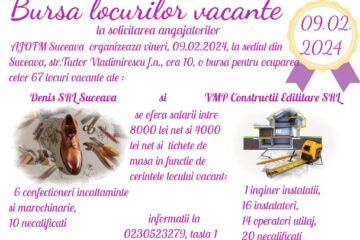 Bursă specială de locuri de muncă în Suceava, pentru construcții și confecții încălțăminte