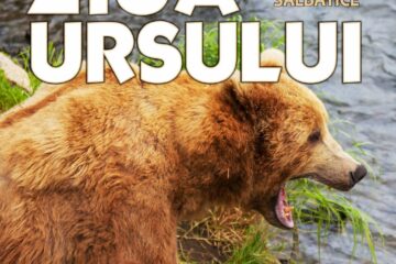 Ziua Ursului