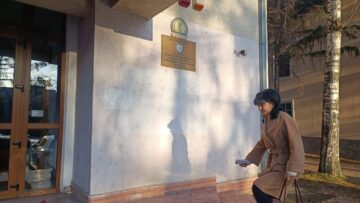 Doina Federovici, președinta Consiliului Județean Botoșani