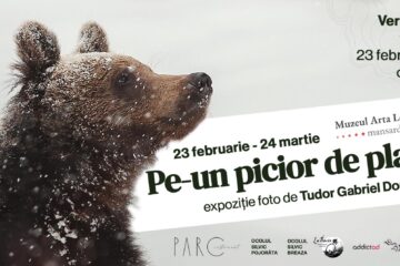 Expoziție de fotografie semnată de Tudor Gabriel Dominte, la Muzeul Arta Lemnului Câmpulung Moldovenesc
