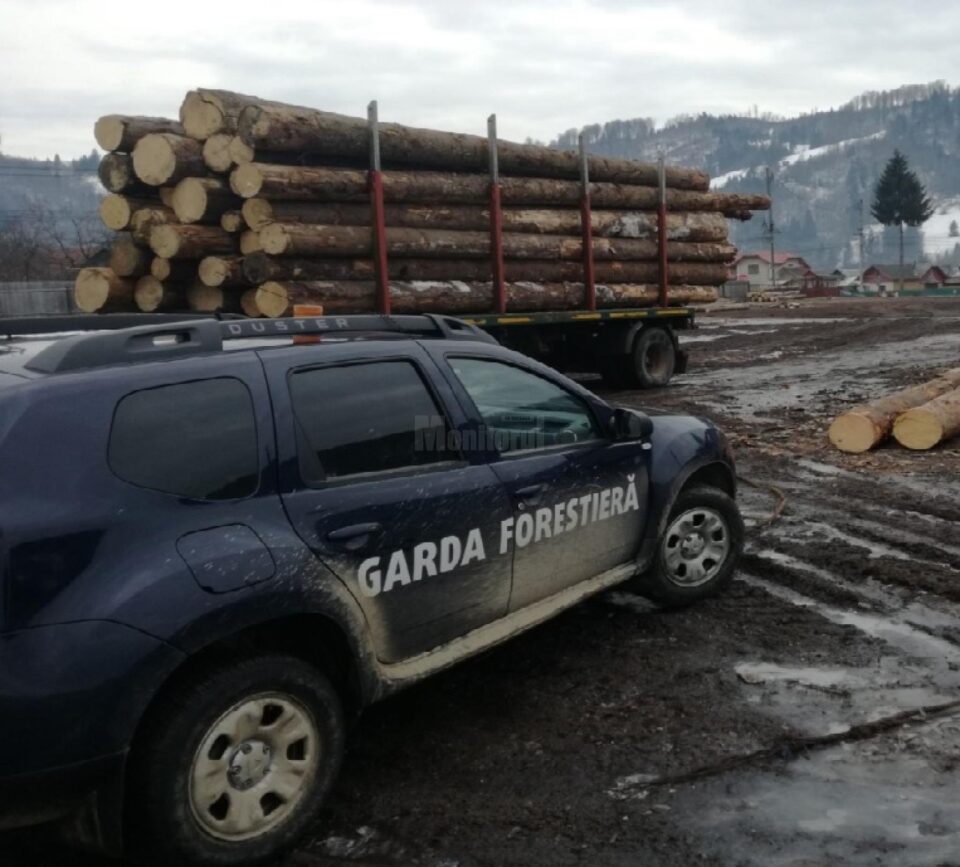 Garda Forestiera Suceava continuă verificările pe drumurile publice, în păduri și la depozitele de material lemnos Garda Forestiera Suceava continuă verificările pe drumurile publice, în păduri și la depozitele de material lemnos
