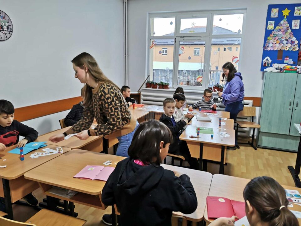 Studenți belgieni, în practică la Gura Humorului