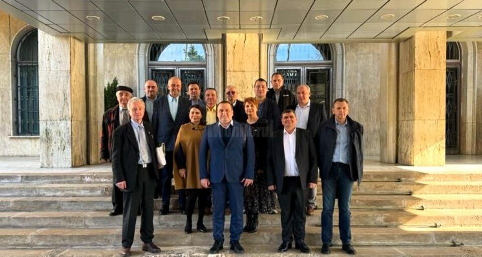 Propunerile ASFOR pe masa Guvernului - zece măsuri pentru îmbunătățirea performanței sectorului forestier