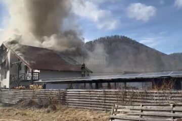 Incendiul de la Mălini
