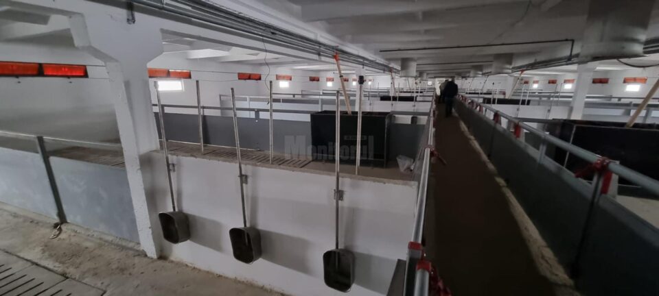 Interiorul uneia din halele modernizate