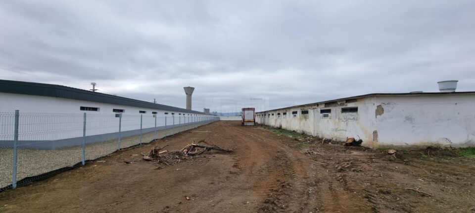 Hală modernizată lângă una a vechii ferme