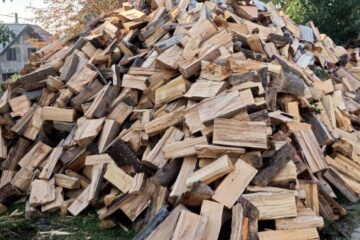 Peste 7500 metri cubi de lemn de foc disponibil la trei ocoale ale Direcției Silvice Suceava, pornind de la 150 lei/mc