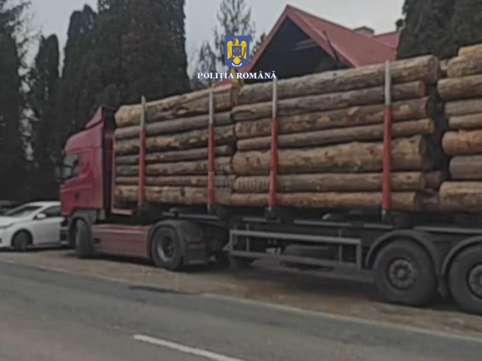 Materialul lemnos a fost confiscat, iar tirul indisponibilizat