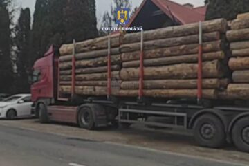 Tir care transporta ilegal peste 40 mc de material lemnos, indisponibilizat de polițiști