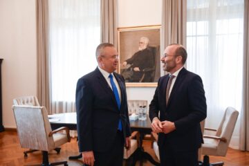 Liderul PNL, Nicolae Ciucă