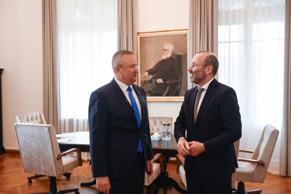 Liderul PNL, Nicolae Ciucă