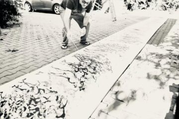 Obiectul (lui Iulian Copăcel)