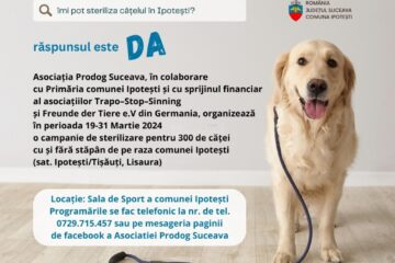Campanie de sterilizare gratuită pentru 300 de câini, organizată la Ipotești