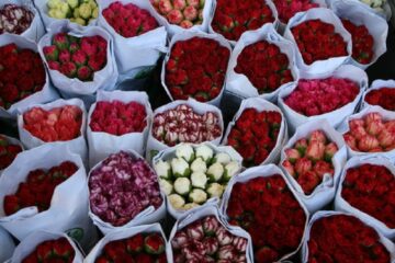 FLORĂRIE